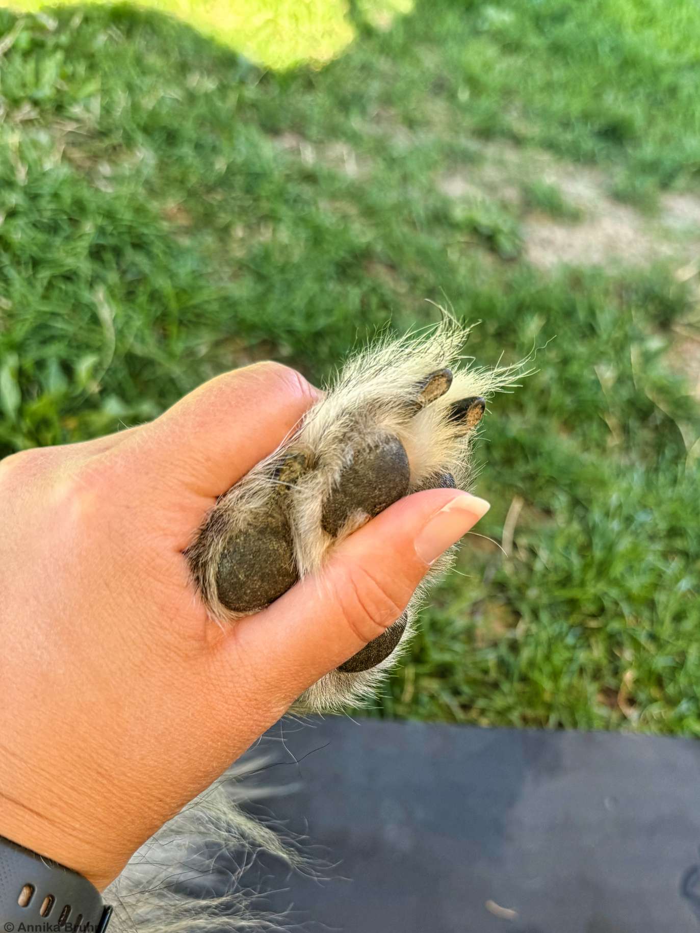 Daumen und Pfoten sind gedrückt